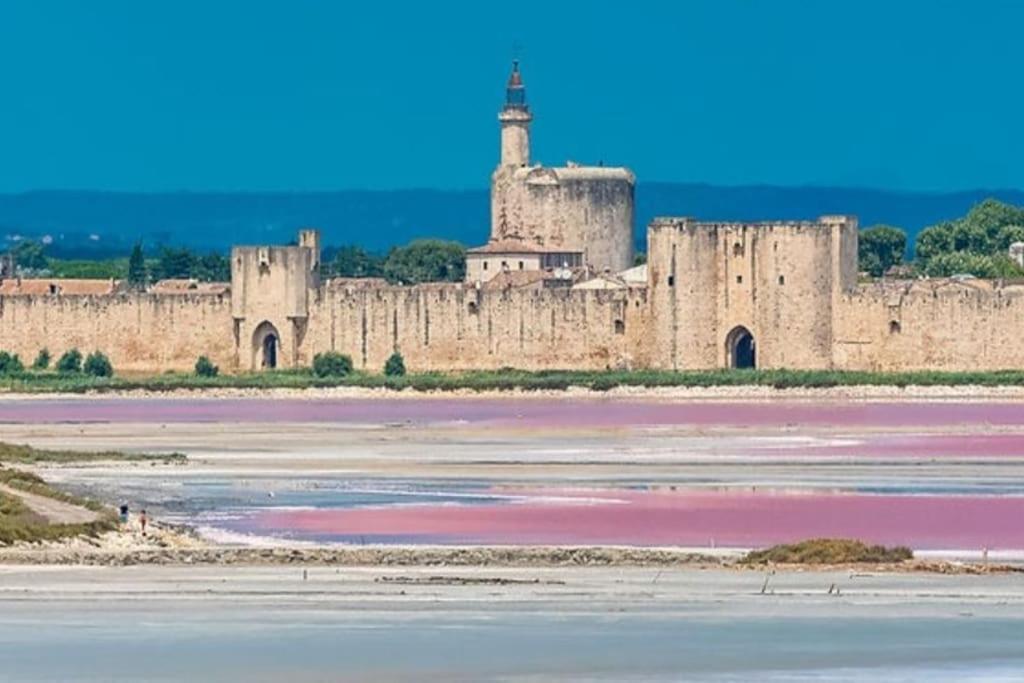 Le Cailar Studio En Petite Camargue מראה חיצוני תמונה